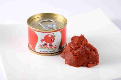 Tampa aberta normal concentrada da pasta de tomate do gosto dobro fino excelente