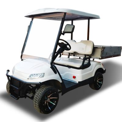 Carrinhos de golfe comunitários New Energy LSV UTV veículo para família
