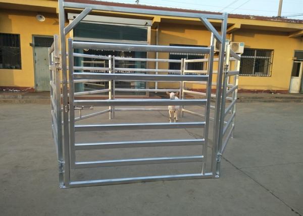 Sturdy Steel Cattle Fence , Horse Corral Panels For Horse / Cow / Sheep