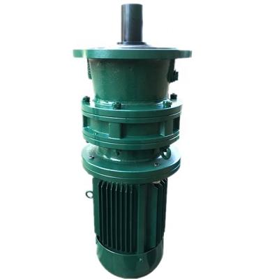 Planetary Cyclo Speed Reducer With Electric Motor Cycloidal Pinwheel Reducer Foot Mounted Flange Mounted