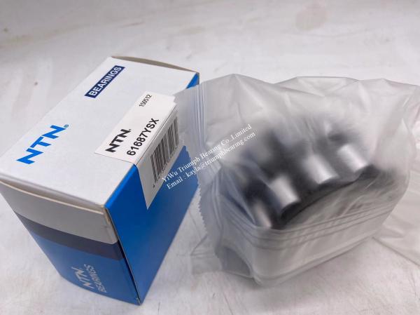 NTN  Eccentric Bearing    61687YSX