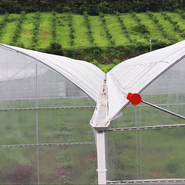 Flower Multi-tunnel Po Film Multi-span Greenhouse With Modern Automatic Control Equipment