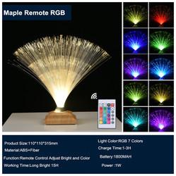 Remote Control Colorful Christmas Xmas Party Decor Luminous Flower Lamp Gradients Led Optic Fiber Star Light