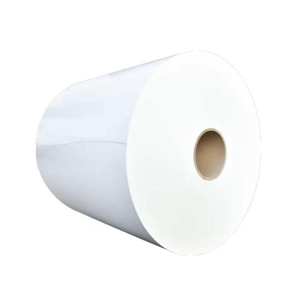 Eco-Friendly and Recyclable PE Coated Paper Roll for Food Packaging