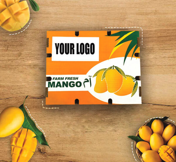 Custom Recycled Cardboard Packaging Magnetic Closure Foldable Shoe Clothes Gift Boxes