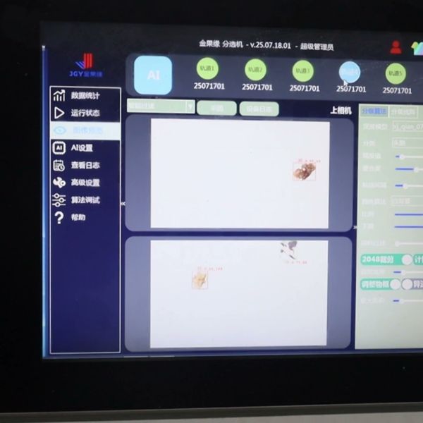 Smart Walnut Kernel Sorting Unit Provides Gentle High-Frequency Feeding For Low Breakage Nut Processing Results