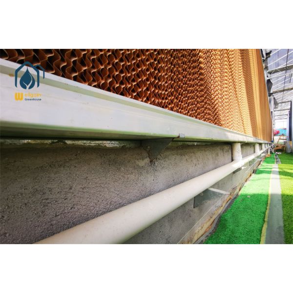 Intelligent Climate Control Multi Span Greenhouse with Cooling Pad and Exhaust Fan System...