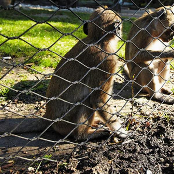 1*19 или 7x19 сетка конструкция гибкая нержавеющая сталь ограждение зоопарка сетка для безопасности