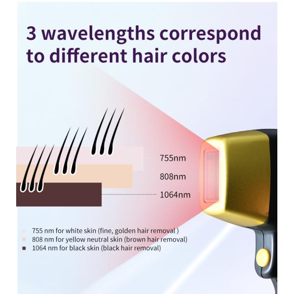 10mm*20mm/12mm*28mm/12mm*35mm Spot Size Vertical 808nm Diode Laser Hair Removal Device