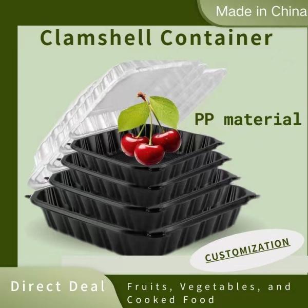 Reusable Plastic Food Packaging Box, PP Hinged Lid Clamshell Container,Microwavable,10.2”x10.2”x3.2”