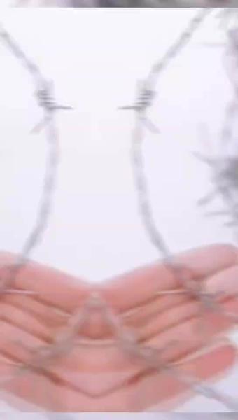Galvanized Steel Wire Top Sale Electro GI Barbed Wire 50 KG Per Roll For Protection