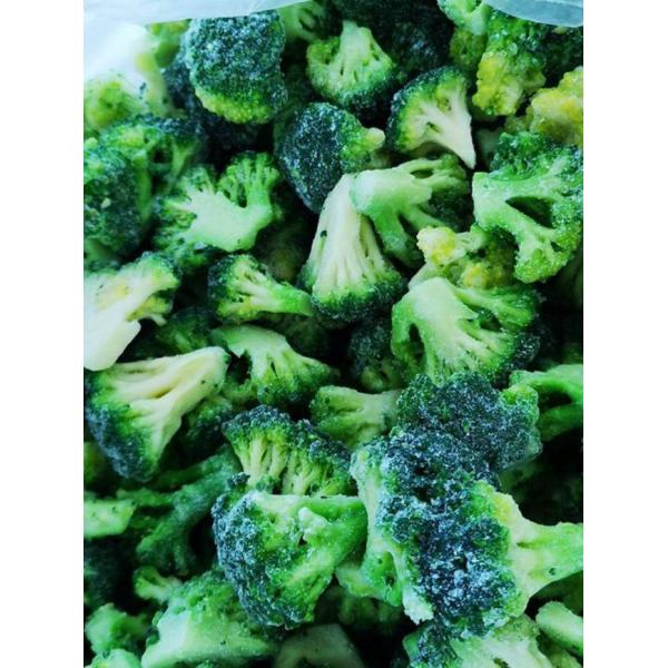 Crop IQF Frozen Broccoli And Frozen Vegetables Quick Frozen Foods