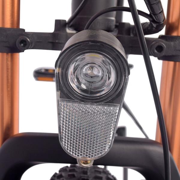 1000 Watt 48V 14AH Fat Tire Electric Mountain Bike For Woman 60km/H