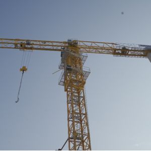 Pendant de grue à tour sans haut 12 tonnes