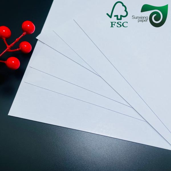 300gr 310gr Double Sided Glossy Cardboard Paper 70cm 100cm Kink Resistant