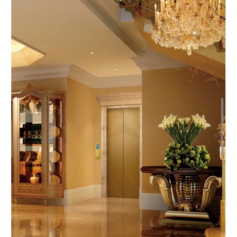 0.4m/S 1.0m/S Villa Elevator Home Elevator Car Decoration Lift Residential Elevators