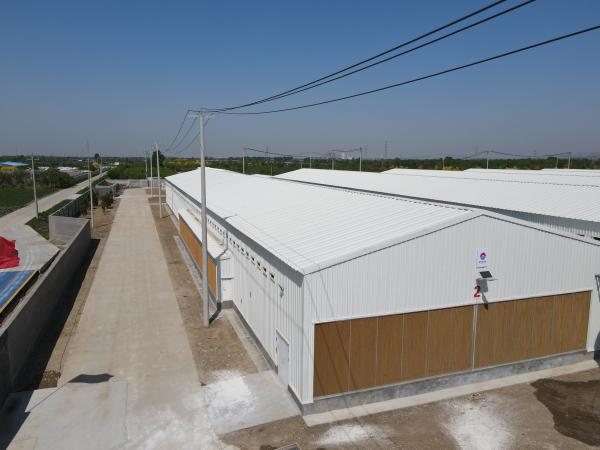 Prefabricated Steel Structural Building and Steel Frame Building Applications in Multi-Field Construction, Industrial, Commercial, and Residential Sectors