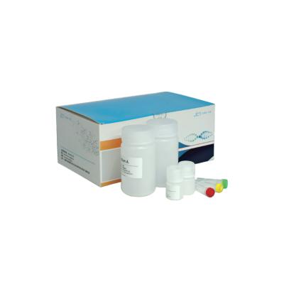 Blood/Saliva DNA Extraction Kit