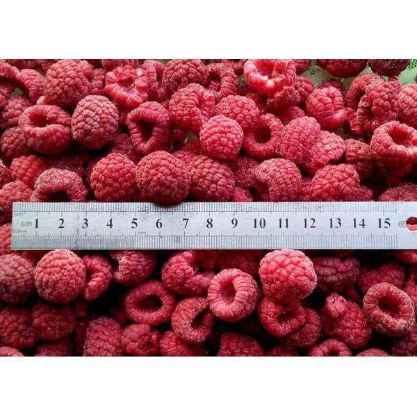 2019 New Crop Fresh IQF Frozen Raspberry Quick Frozen Foods