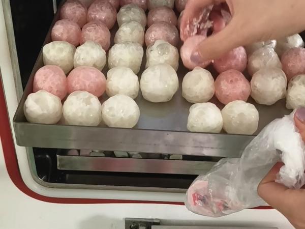 Preserve Your Food with Home Freeze Dryer 24-30 Hours Freeze Dry Cycle Two-stage Baosi Vacuum Pump and Danfoss Compressor