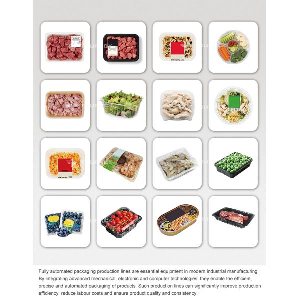 All-in-One Automated Tray Denesting & Filling Line with High-Precision Screw Multihead Weigher for Sticky Meat