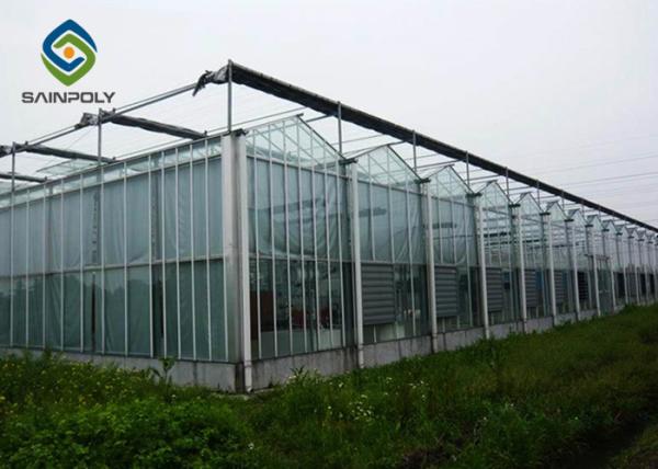 4m Commercial Glass Greenhouse