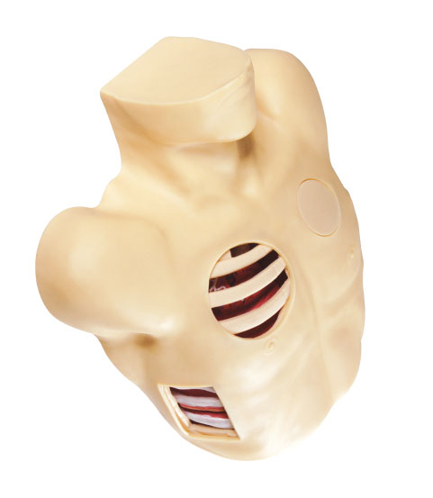 Pneumothorax decomoression training Model clinical simulation for college education