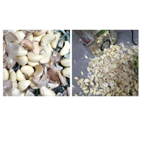 Vegetable Shredding Machine  ONE THOUSAND THREE HUNDRED AND EIGHTY FIVE