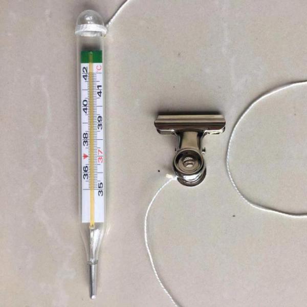 FN-W Customized Clinical Mercury Free Digital Thermometer in Yellow/blue