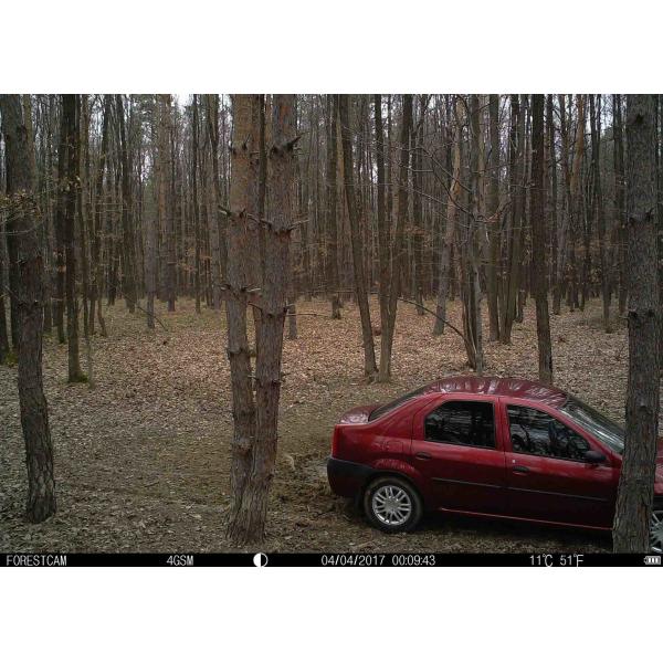 Отсутствие камеры 12МП звероловства ночного видения зарева ультракрасной с аудио функцией ловушки