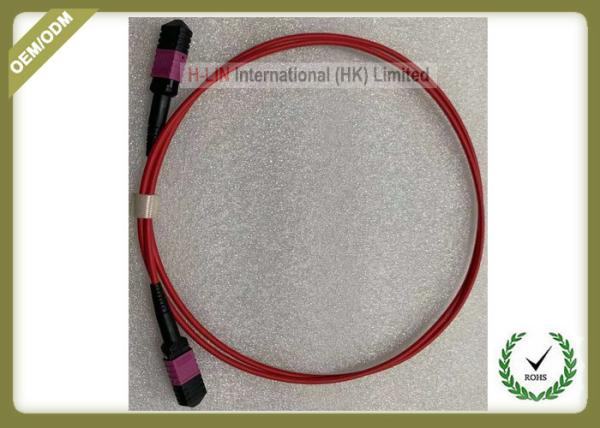 MTP TO MTP  LC OM4 12 Core Fiber Optic Patch Cord Violet Color Multimode LSZH Jacket