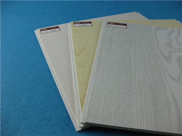 Aqueça o carimbo dos painéis de teto do PVC da gota tamanho Soncap de 250mm x de 8mm DIY