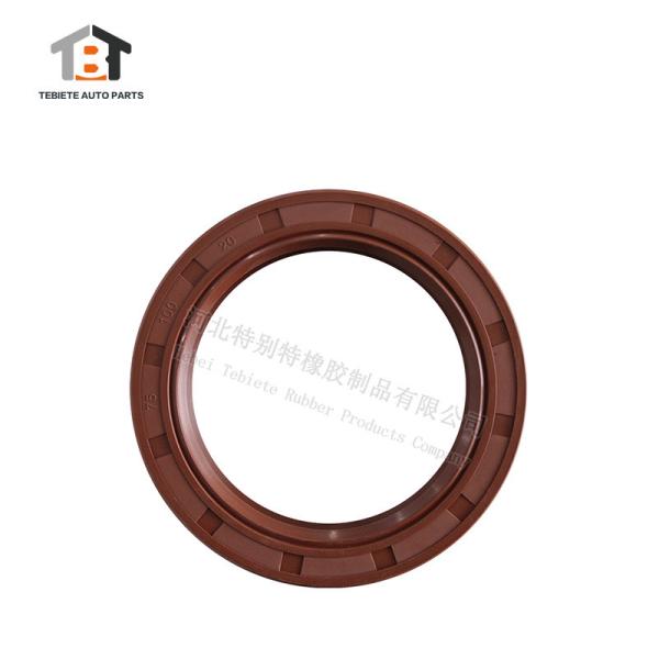 FAST Transmission Rubber Oil Seal 75*100*20mm 2 Lips
