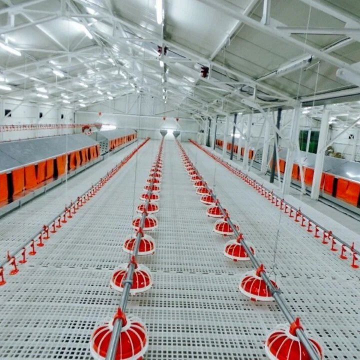 High Strength PP Poultry Pan Feeding System Anti Waste Design For Broiler Production