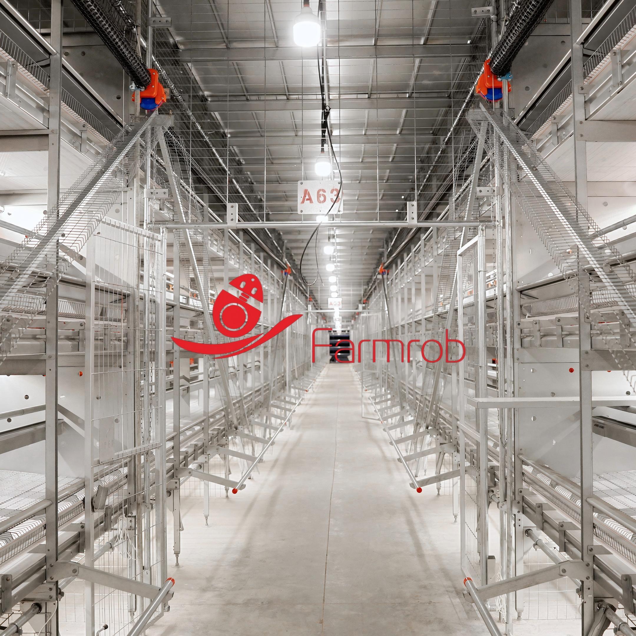 Enough Activity Environment Cage Free System For Stress Reduction