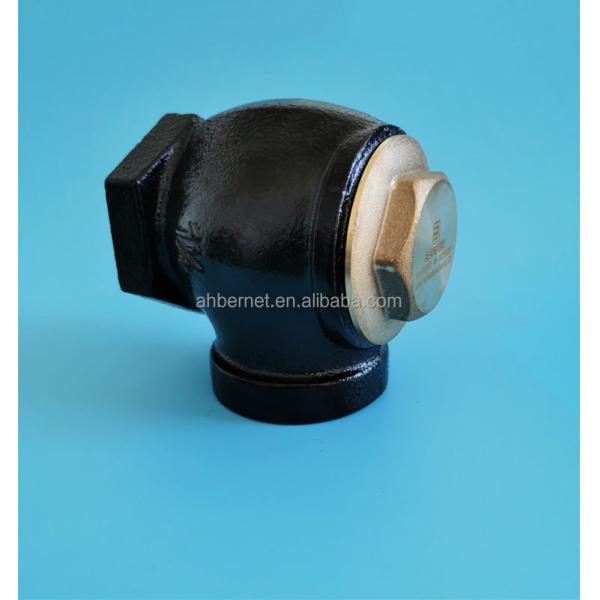 Custom Gasoline Fuel Dispenser Spare Parts Non Return Check Valve