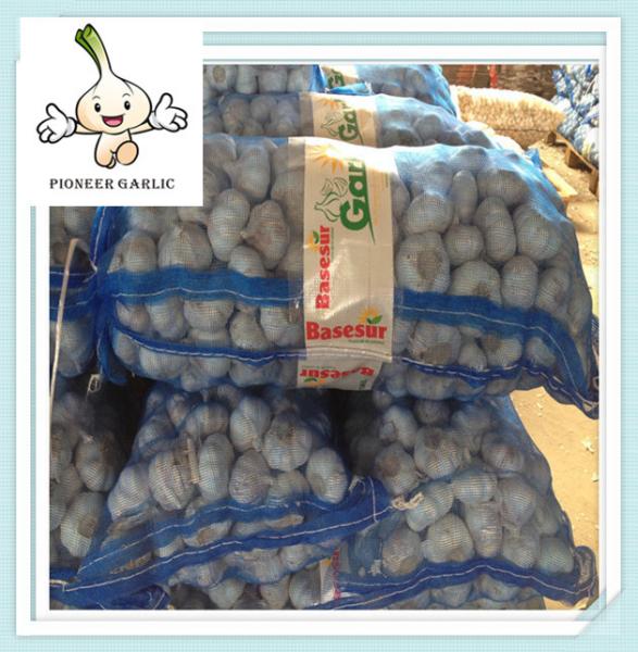 Fresh Garlic Wholesale Fresh China Garlic best design new model fresh garlic