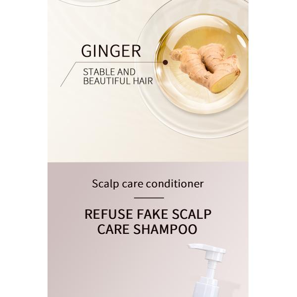 Shampoing croissance capillaire marque de distributeur à base de plantes, marque blanche