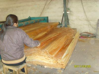 Natural Birch Rotary Cut Veneer With 0.2 mm - 0.6 mm Thickness
