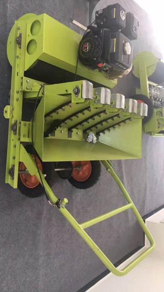 2017 Hot Garlic Seeder/Garlic Planter Machine