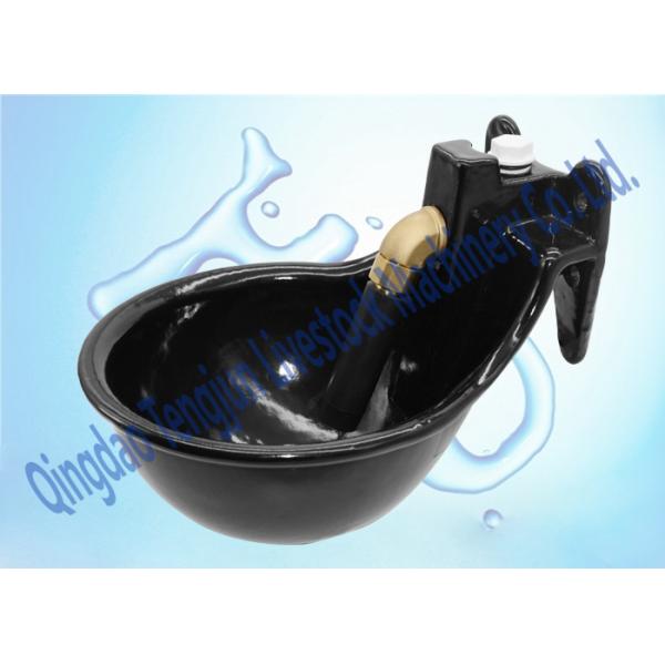 Grey Cast Iron Horse Water Bowl , Auto Livestock Drinking Bowls