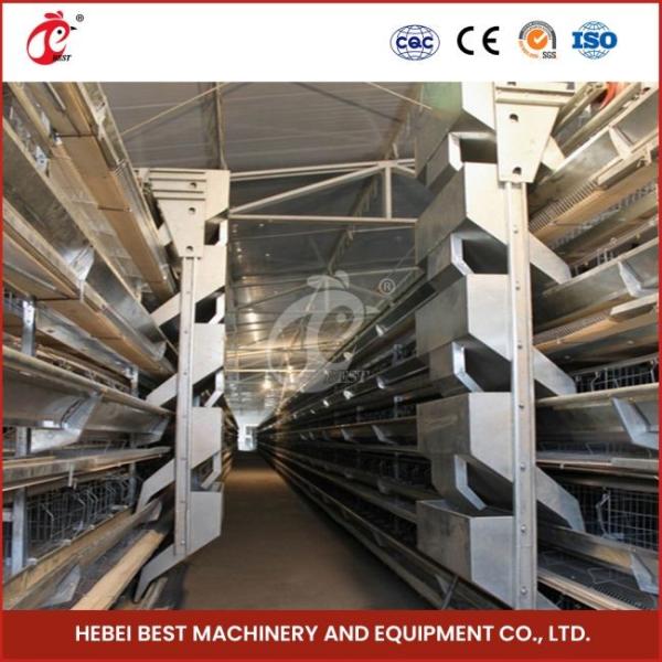Hot Galvanized 20 Years Lifespan Full Automatic Feeding Manure Cleaning And Egg Collection System Cage Sell Adela