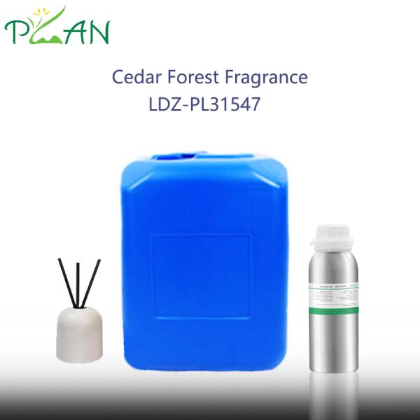 Premium Cedar Forest  Fragrance Flavor  For Reed Sticks & Diffuser  Long-lasting Scents