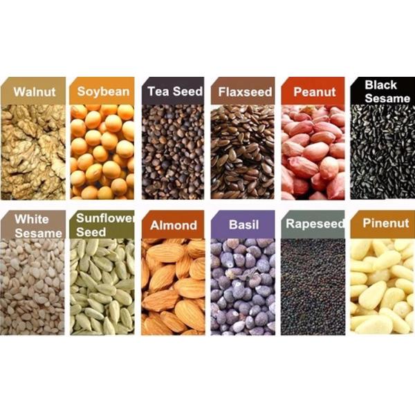 máquina de proceso automática del aceite de la máquina/de oliva de la prensa de aceite del voltaje 380V