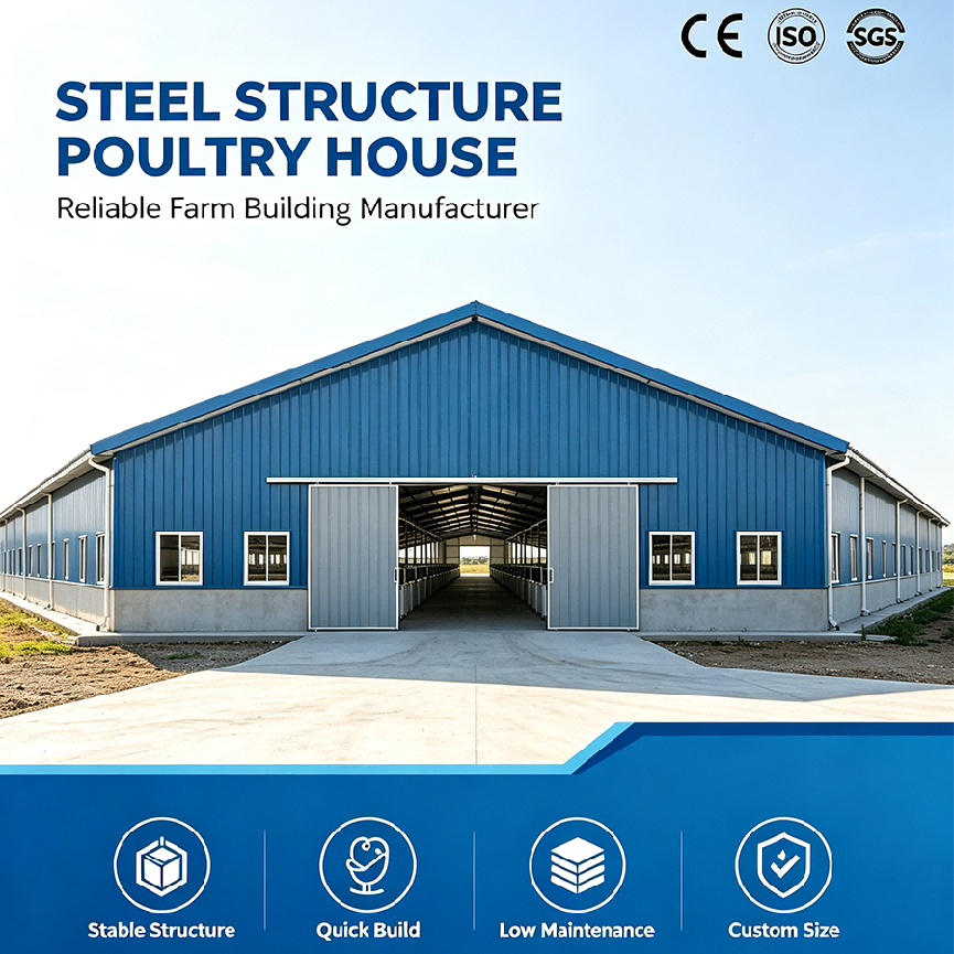 Steel Structure Poultry House engineered to provide space utilization and robust structural support for intensive poultry farming needs