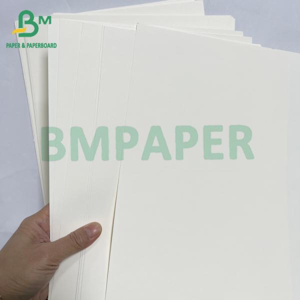 100grs 200grs Recyclable Food Grade Bagasse Pulp White Paper Roll