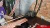 Copper Tube Vertical Steam Condenser for Petrochemical Industry