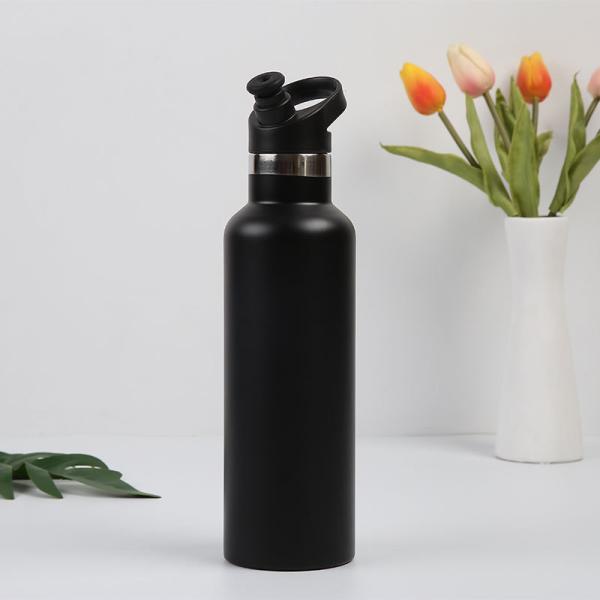 Insulated Bpa Free Double Wall Stainless Steel Vacuum Flask With Lids Customized