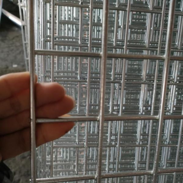 Hot Dipped Galvanized Welded Wire Mesh Panels with Corrosion Resistance and Customized Size