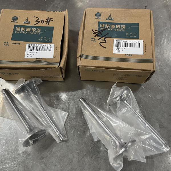 12159606 12159608 Впускной клапан Выпускный клапан Deutz TD226B-3D Части двигателя Weichai